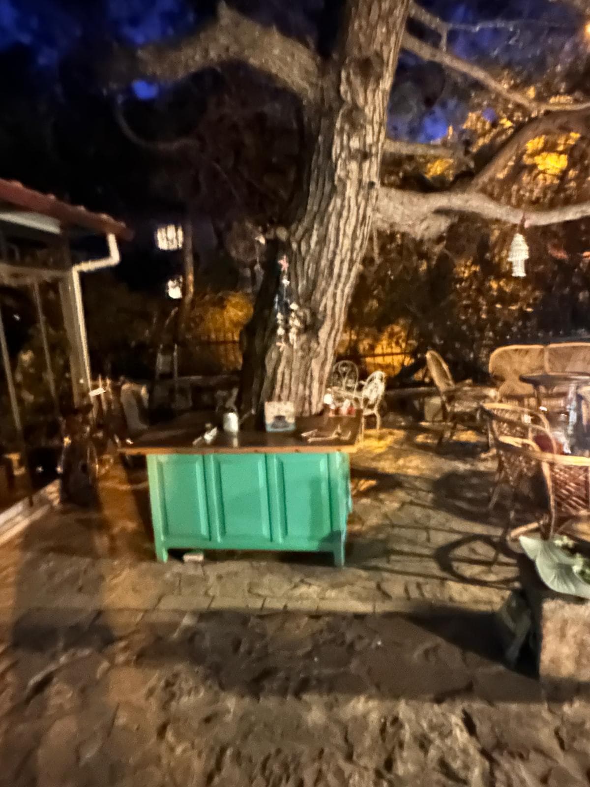 Gece Bahçe